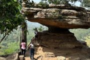 Explore Aburi Botanical Gardens And Boti Falls - Image 14