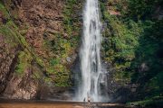 Wli Waterfall and Tafi Atome Monkey Sanctuary (Day Visit) - Image 2