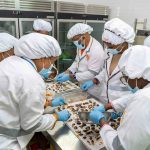 Half-Day Chocolate Tasting & Making Experience in Ghana