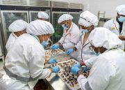 Half-Day Chocolate Tasting & Making Experience in Ghana