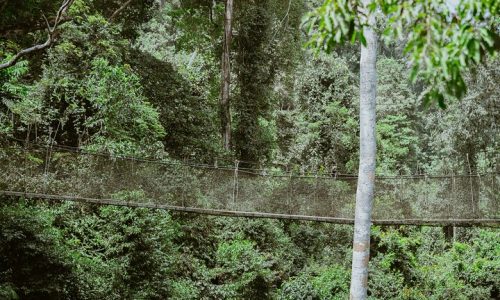 Cape Coast Castle 13