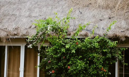 The C resort Resort 27