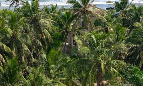 The C resort Resort 29