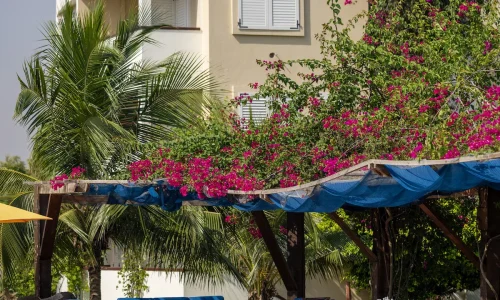 The C resort Resort 33