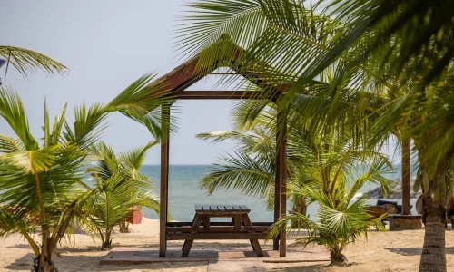 The C resort Resort 4